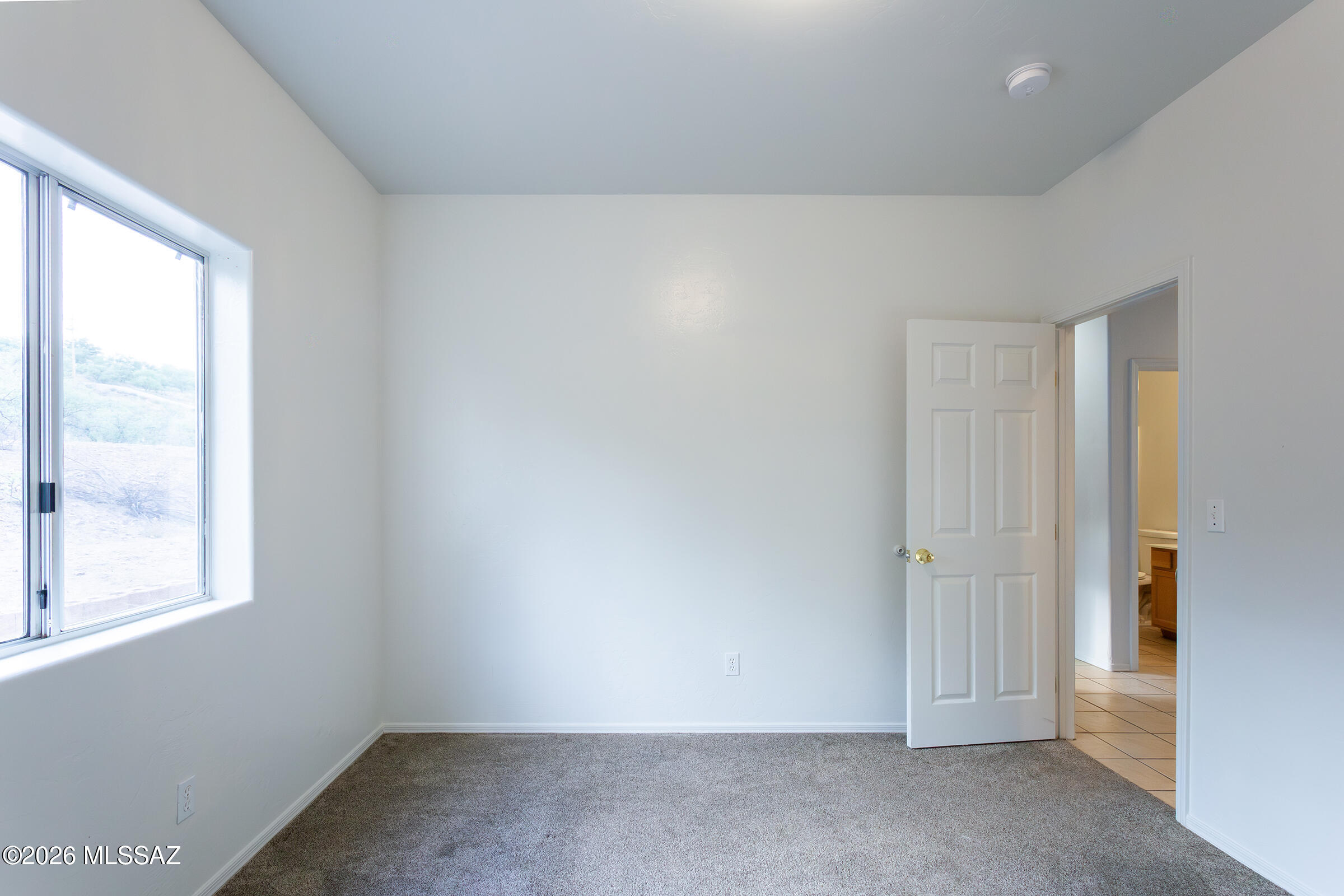 392 Falcon Court Rio Rico, AZ 85648 - Photo 37 of 49