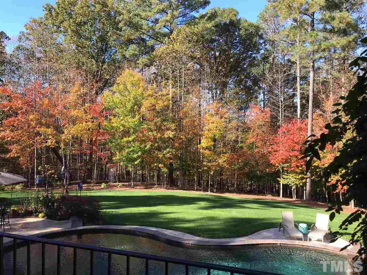 6037 Valencia Court Raleigh, NC 27614 - Photo 4 of 30 a view of a park