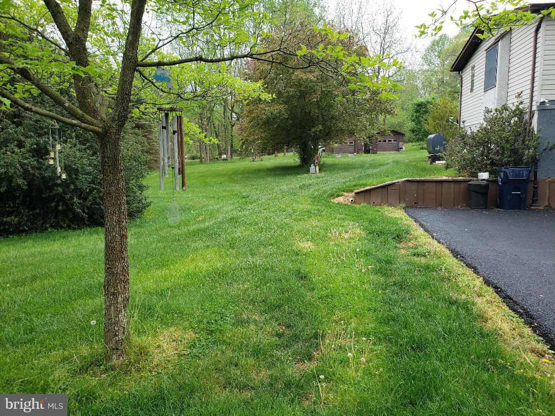 736 New Bridge Road Rising Sun, MD 21911 - Photo 7 of 32 Side yard