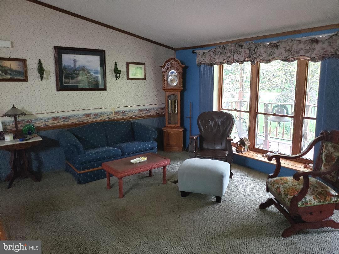 736 New Bridge Road Rising Sun, MD 21911 - Photo 9 of 32 Living room/ newer carpet