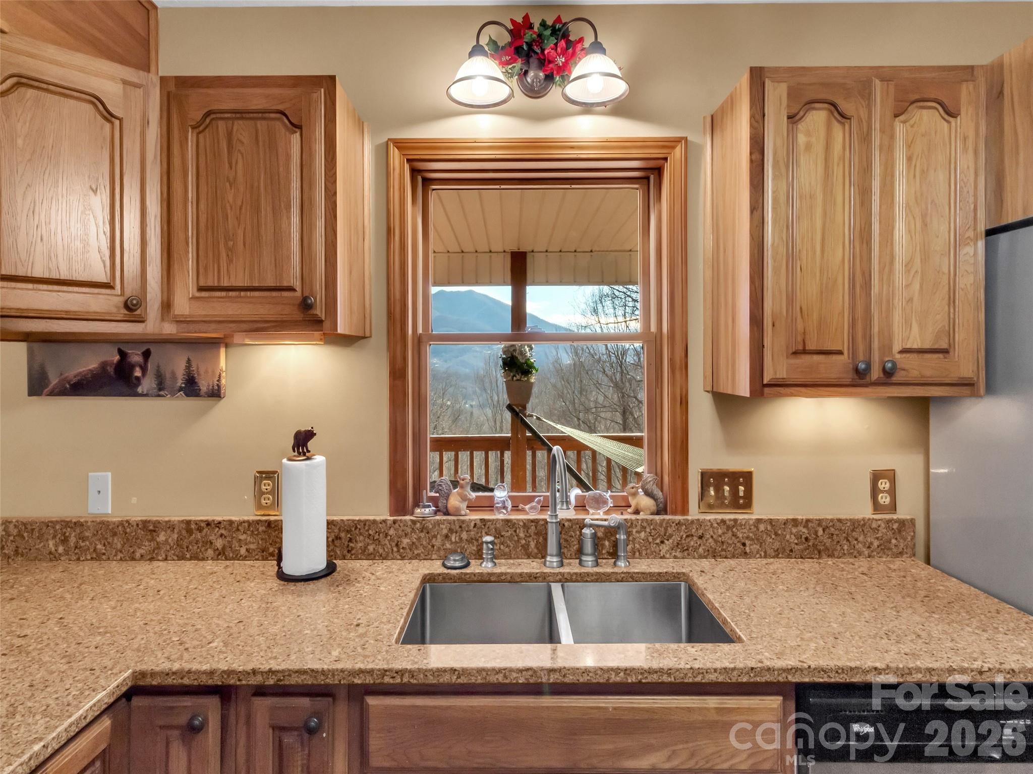 371 Falcon Ridge Drive Waynesville, NC 28786 - Photo 13 of 48