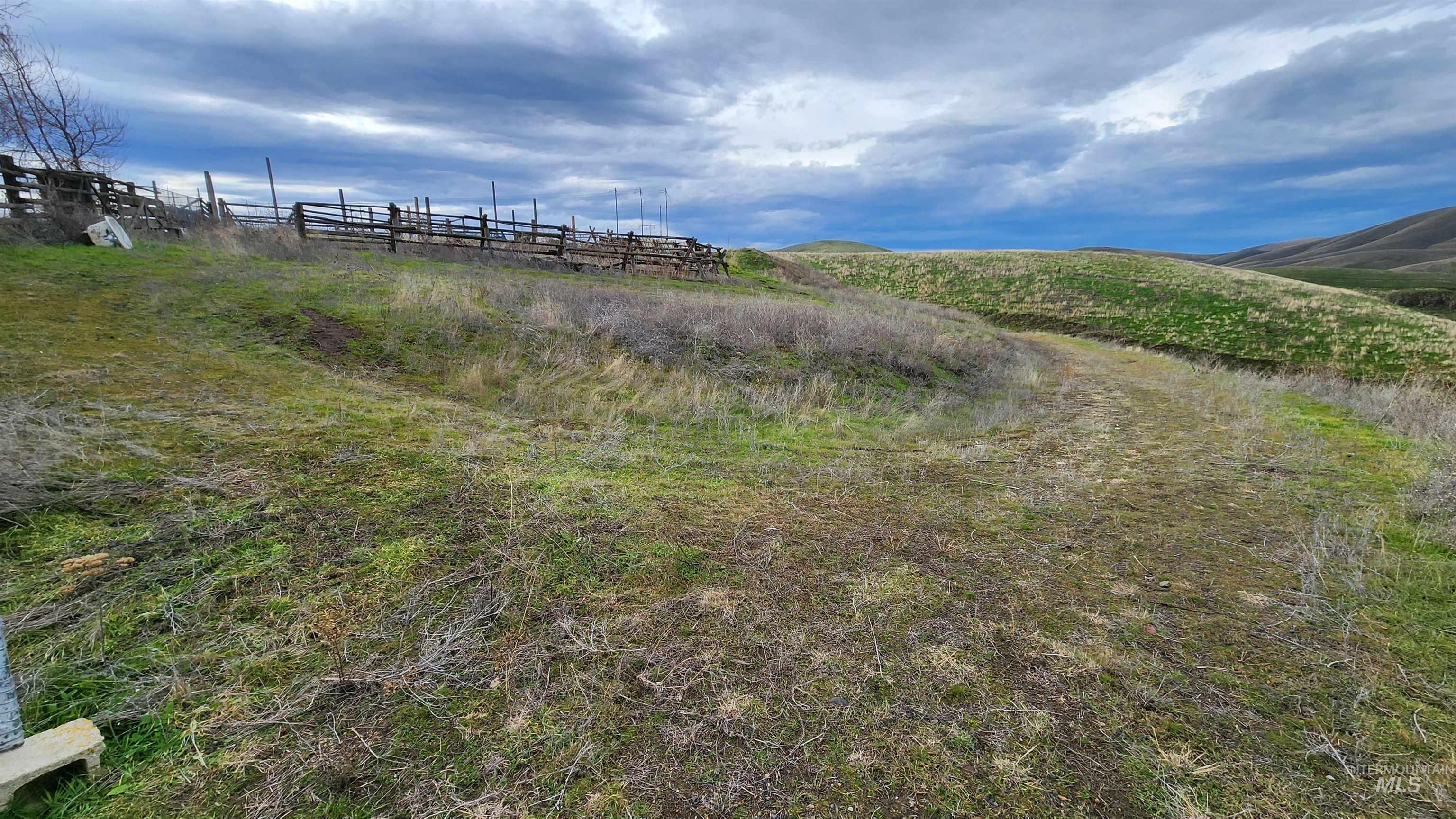 802 Evans Road Clarkston, WA 99403 - Photo 4 of 33