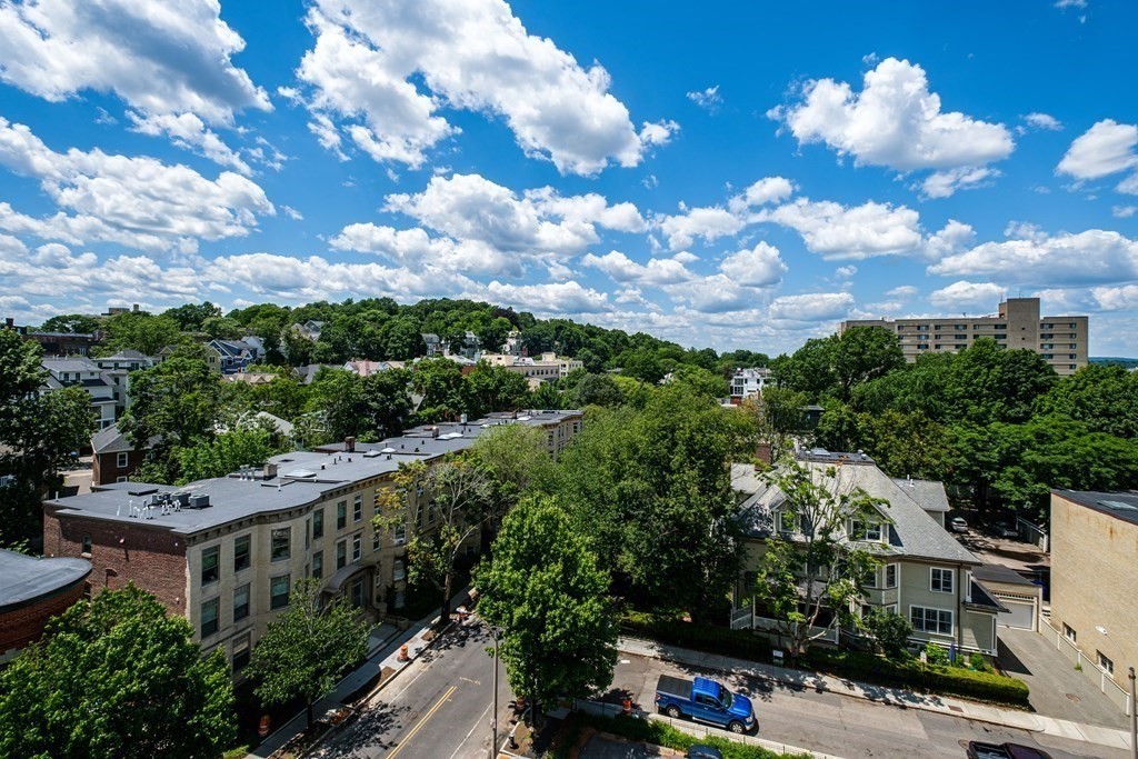 19 Winchester Street, Unit 801 Brookline, MA 02446 - Photo 17 of 19 a view of a city with lot of flower plants and wooden fence