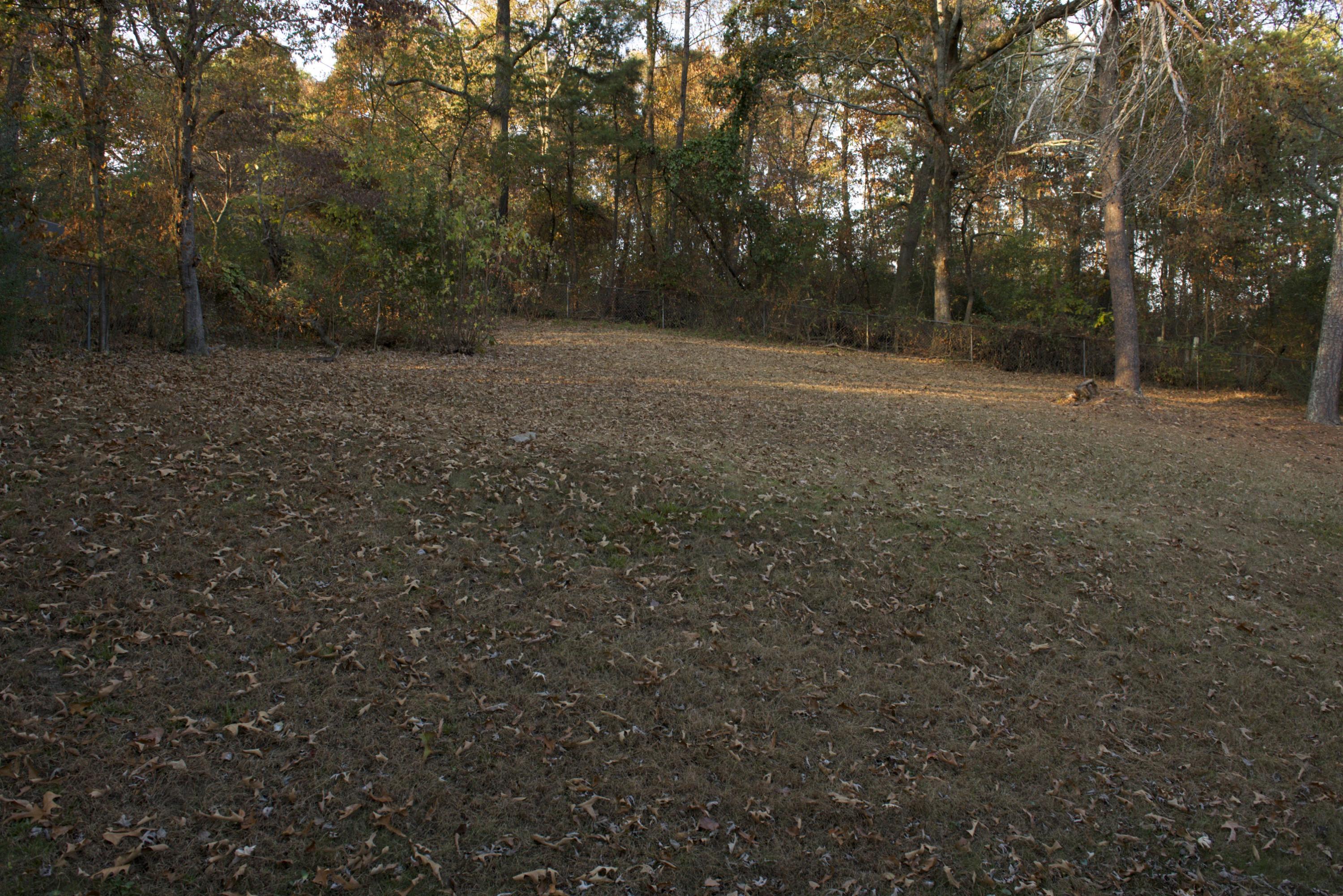 8936 Drake Parkway Road Chattanooga, TN 37416 - Photo 15 of 16 DSC_1267 - Copy