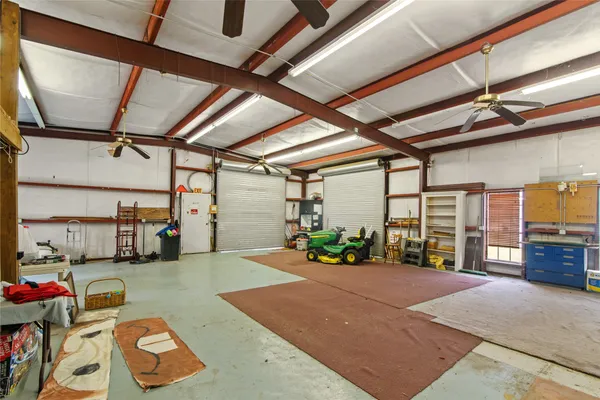 a view of a park with a large trees