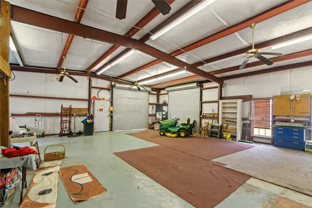 a view of a park with a large trees