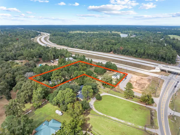 a view of a park with large trees