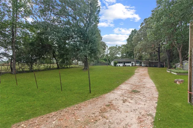 a view of a garden with a tree in the background