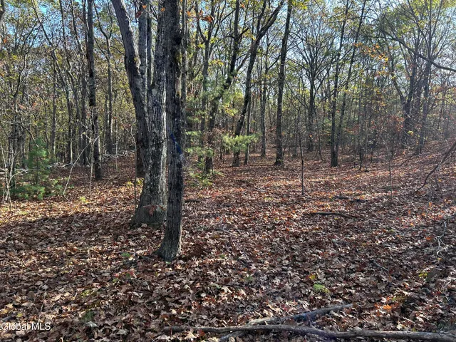 $295,000 | L31 Gulf Hill Road, Voorheesville, NY 12186