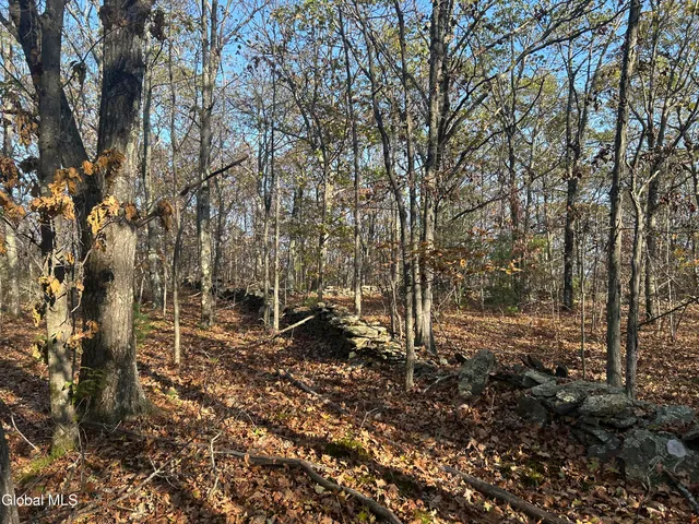 $295,000 | L31 Gulf Hill Road, Voorheesville, NY 12186