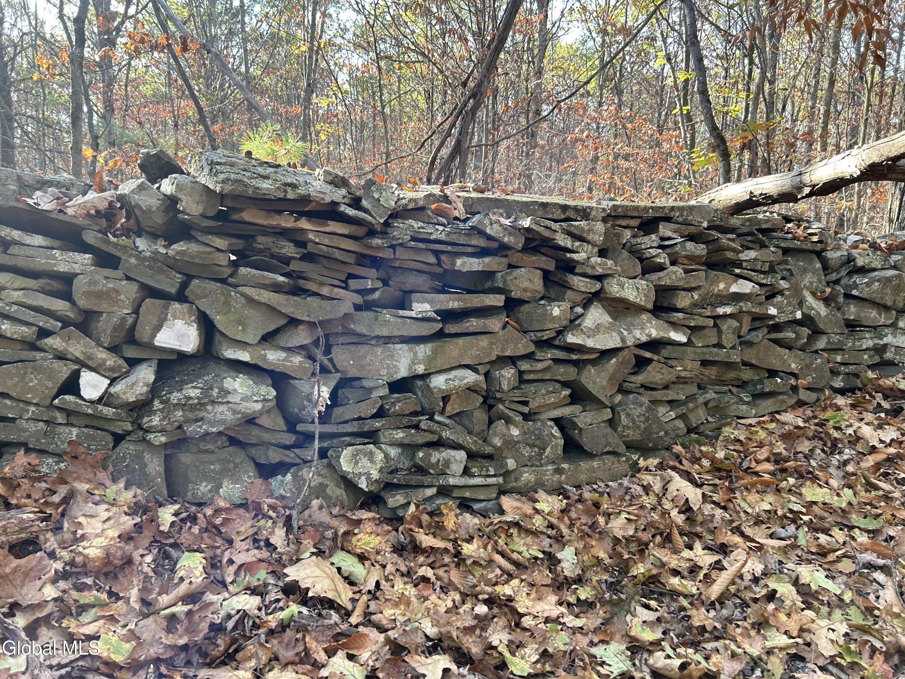 L31 Gulf Hill Road Voorheesville, NY 12186 - Photo 13 of 22 Stone wall