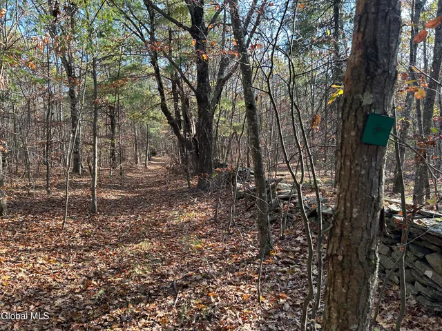 $295,000 | L31 Gulf Hill Road, Voorheesville, NY 12186