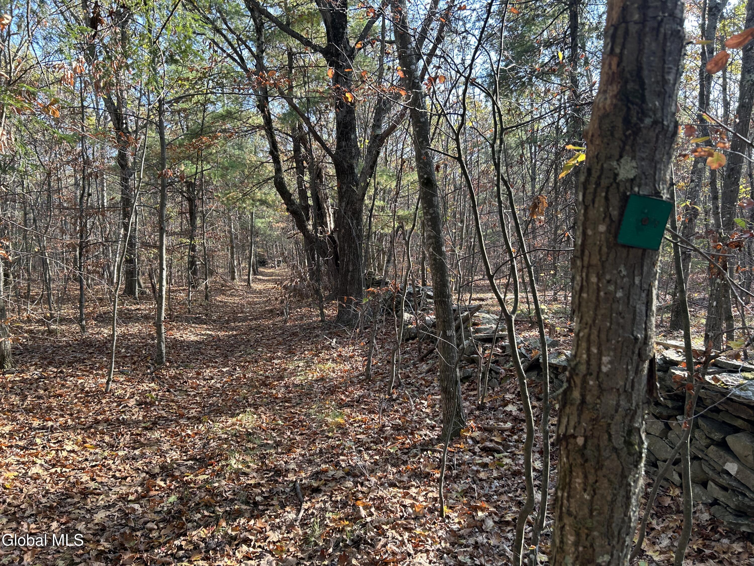 L31 Gulf Hill Road Voorheesville, NY 12186 - Photo 14 of 22 Trail along back line