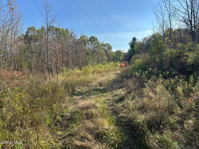 $295,000 | L31 Gulf Hill Road, Voorheesville, NY 12186