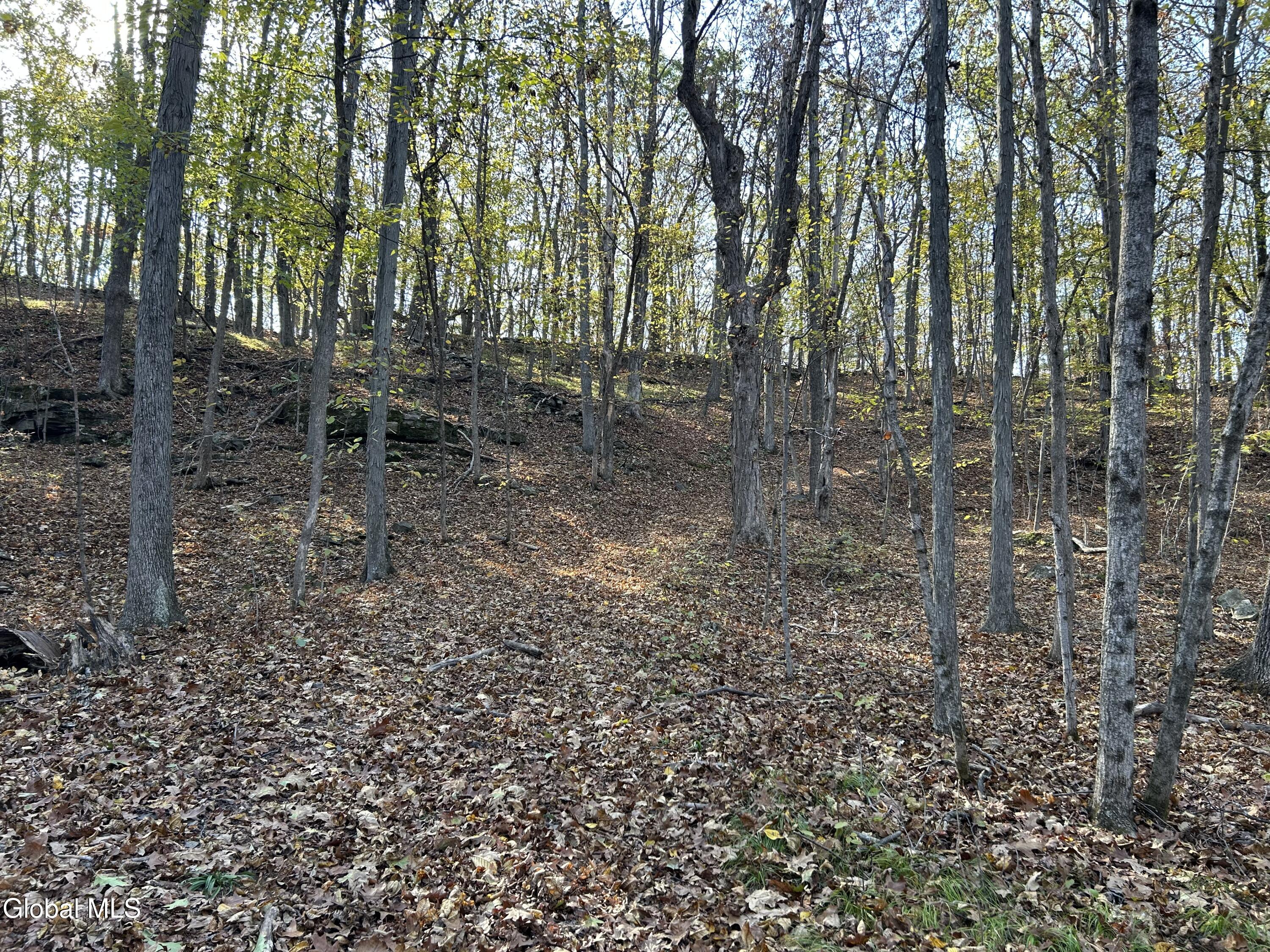 L31 Gulf Hill Road Voorheesville, NY 12186 - Photo 16 of 22 Trail up hill