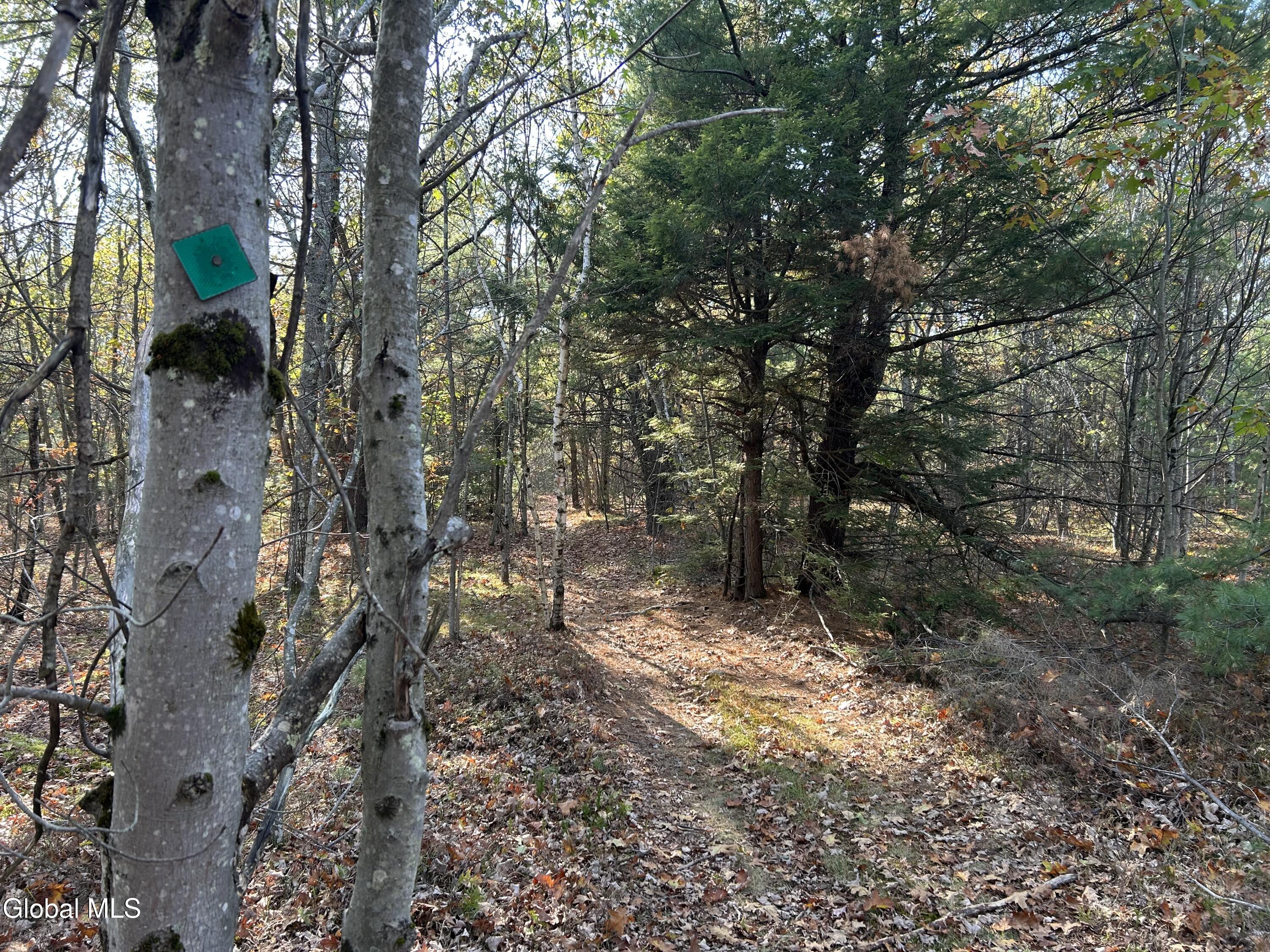 L31 Gulf Hill Road Voorheesville, NY 12186 - Photo 17 of 22 Trail with marker