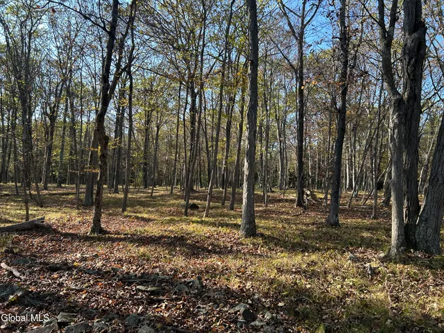 $295,000 | L31 Gulf Hill Road, Voorheesville, NY 12186