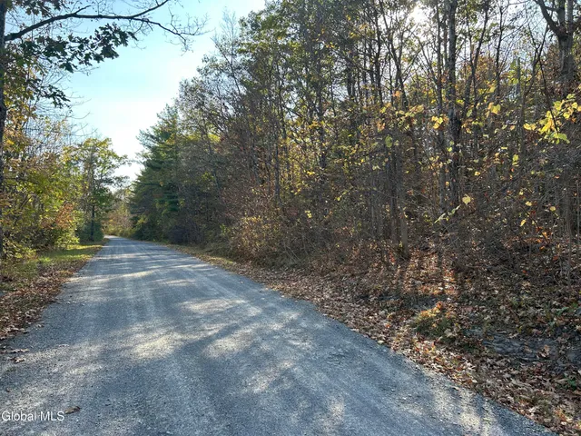 $295,000 | L31 Gulf Hill Road, Voorheesville, NY 12186