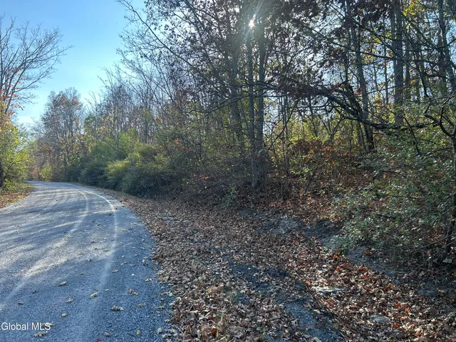 $295,000 | L31 Gulf Hill Road, Voorheesville, NY 12186