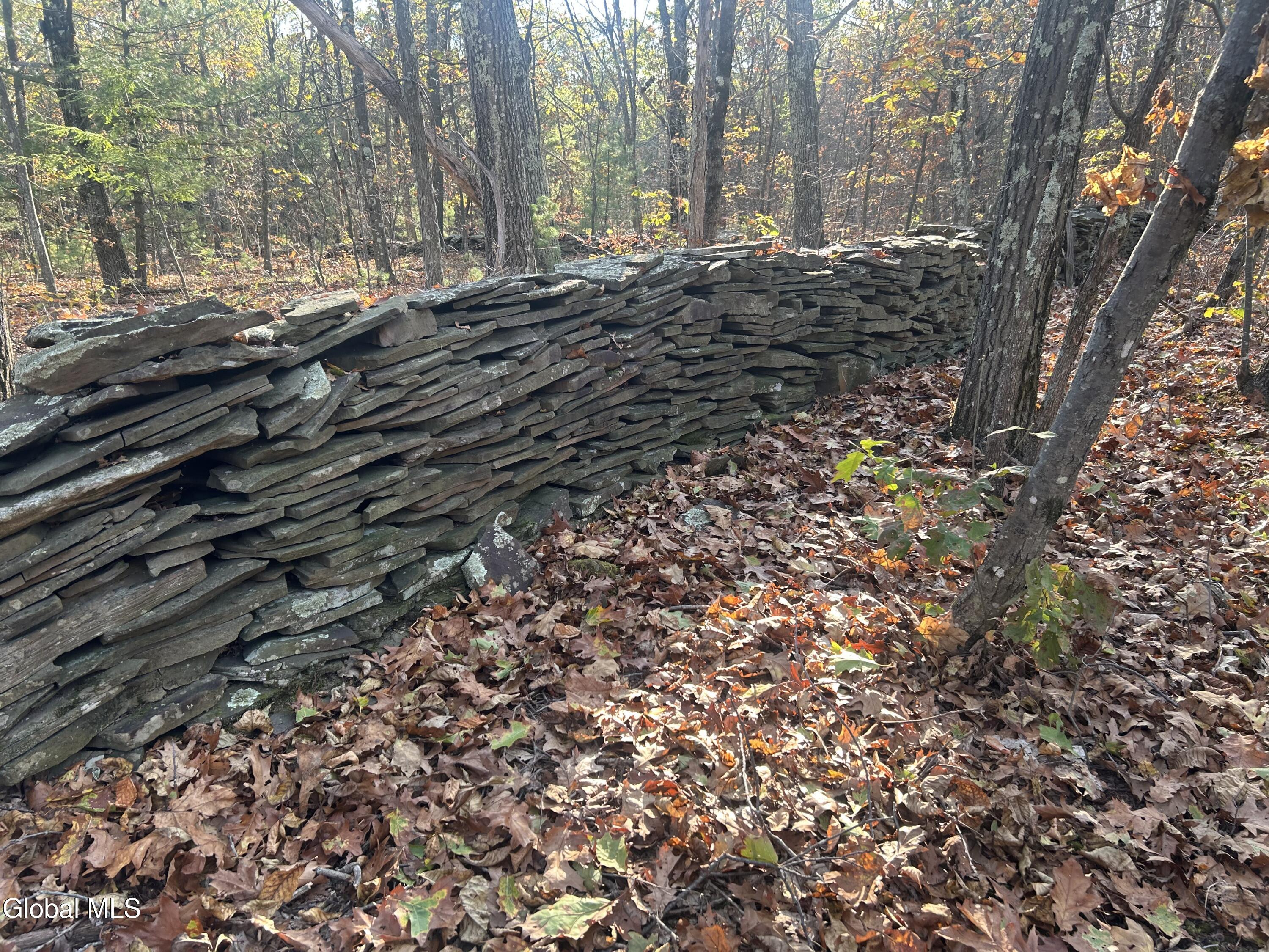 L31 Gulf Hill Road Voorheesville, NY 12186 - Photo 6 of 22 Beautiful stone wall