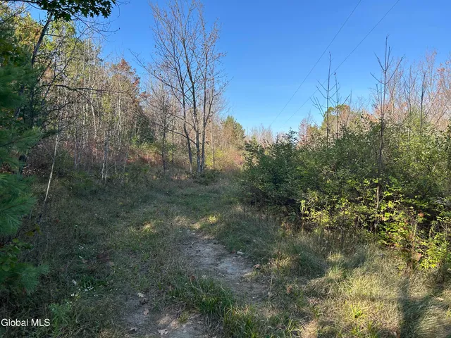 $295,000 | L31 Gulf Hill Road, Voorheesville, NY 12186