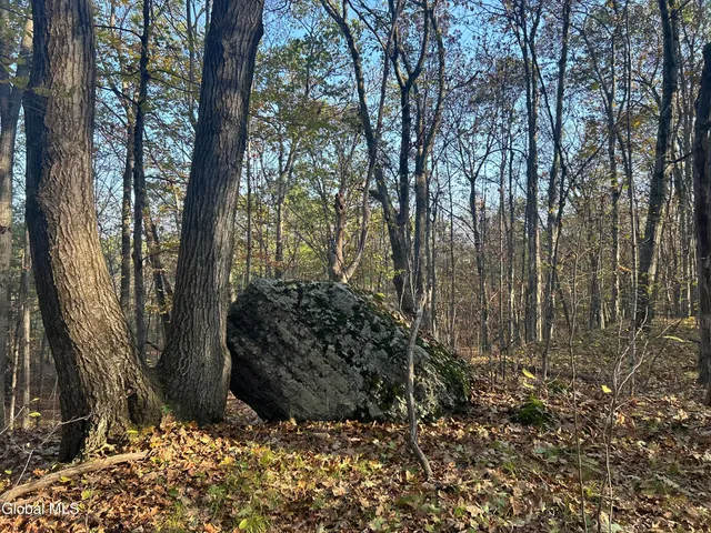 $295,000 | L31 Gulf Hill Road, Voorheesville, NY 12186