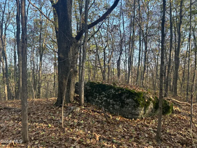 $295,000 | L31 Gulf Hill Road, Voorheesville, NY 12186