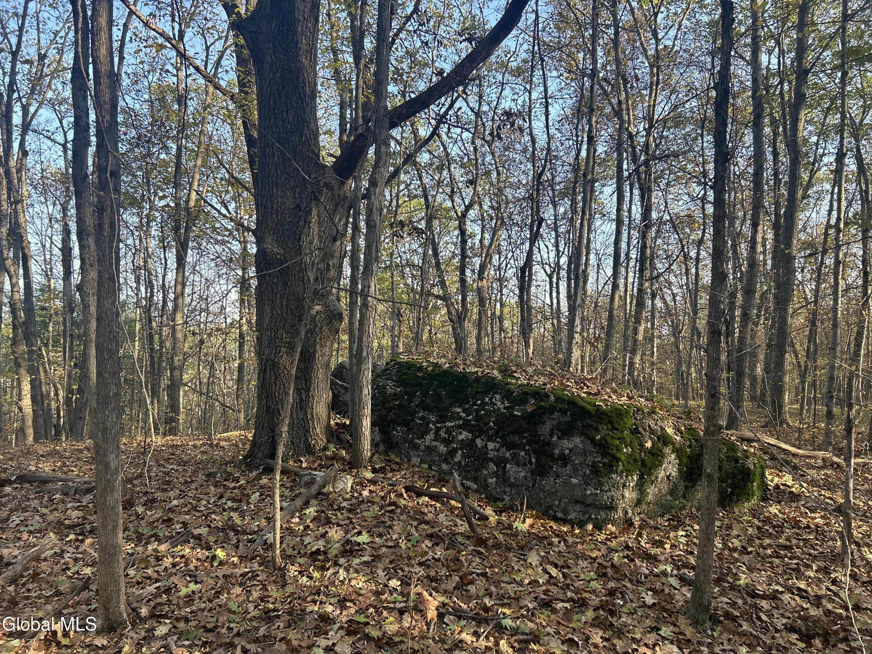 L31 Gulf Hill Road Voorheesville, NY 12186 - Photo 9 of 22 Boulder