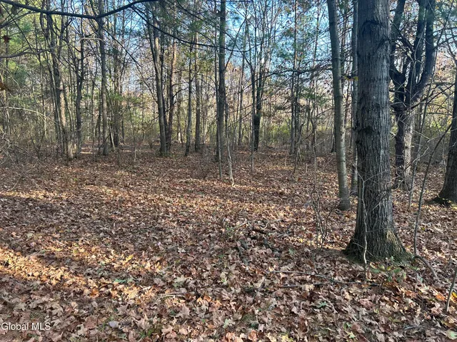 $295,000 | L31 Gulf Hill Road, Voorheesville, NY 12186