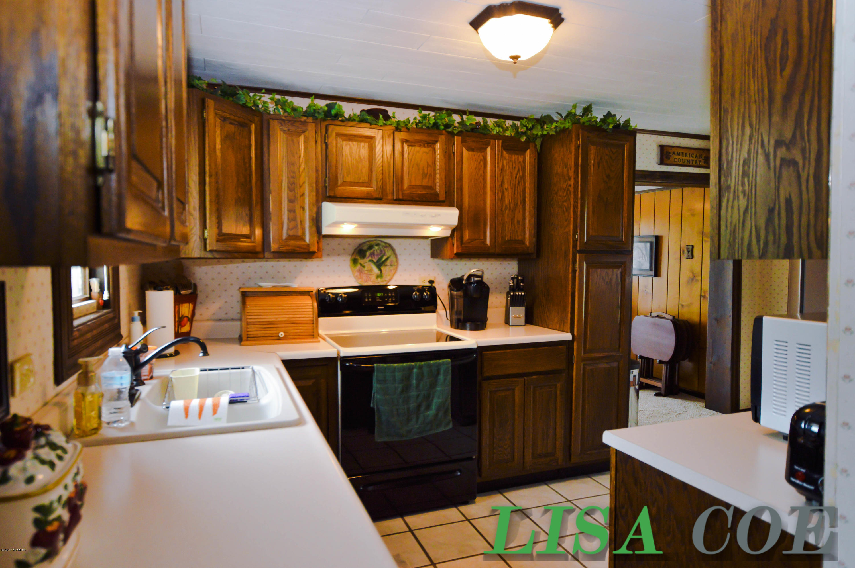 1084 East Long Lake Road Fenwick, MI 48834 - Photo 10 of 25 1084 E long Lake Rd - Lisa Coe-7