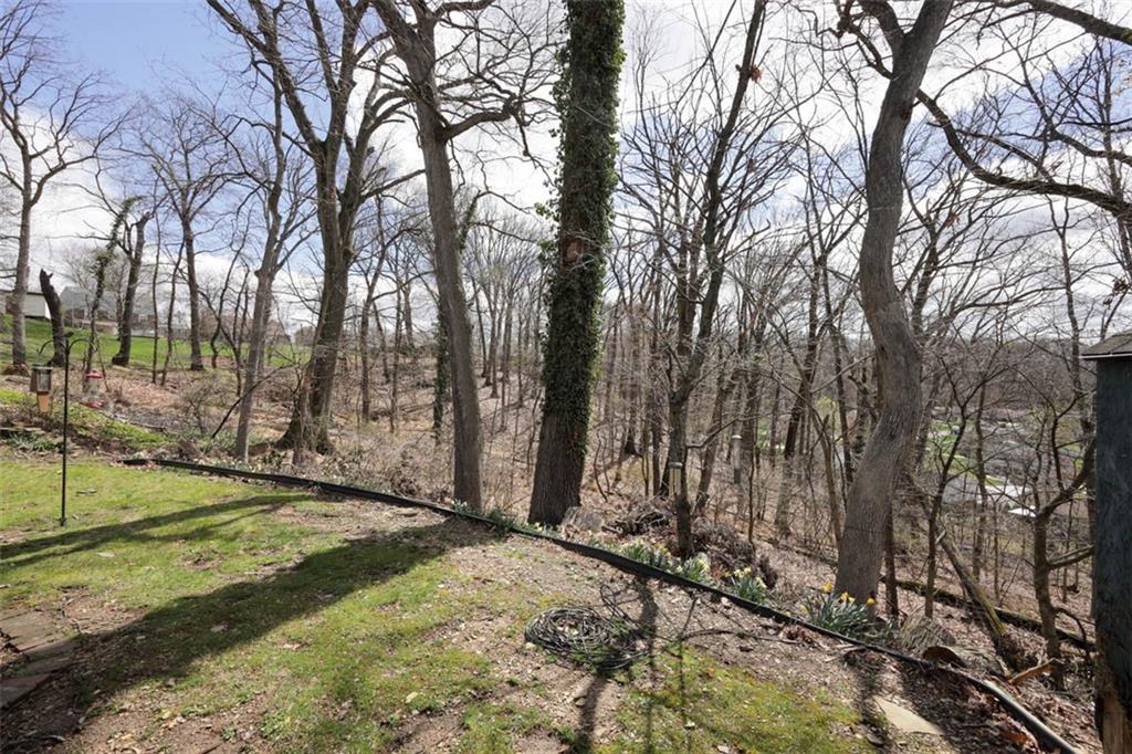 577 Surfside Drive Pittsburgh, PA 15239 - Photo 26 of 30 Back yard with privacy