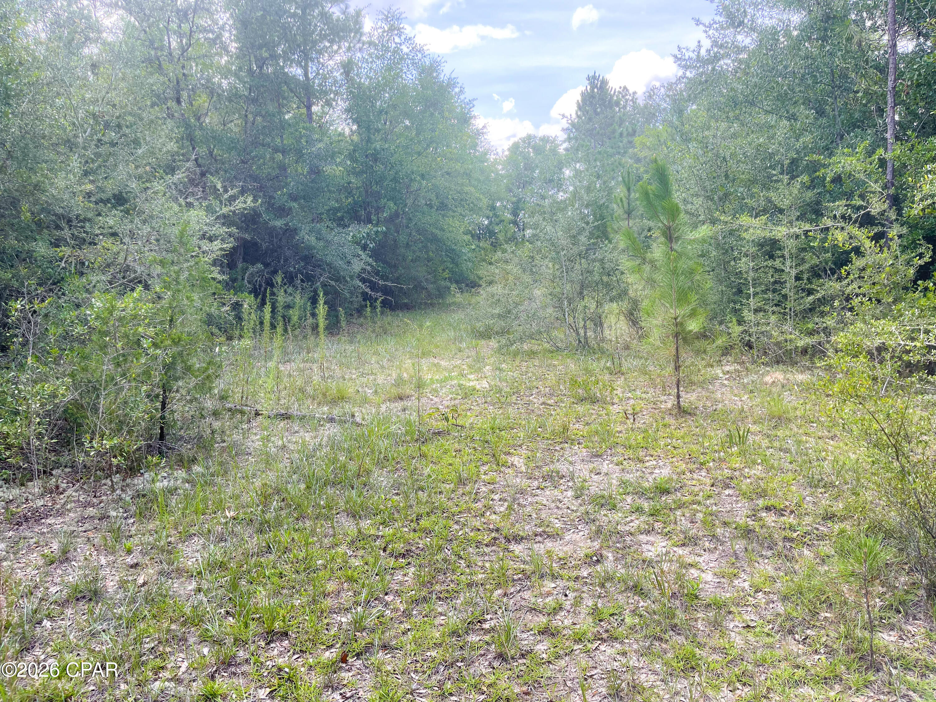 9 Bess Nook Road Bonifay, FL 32425 - Photo 15 of 20