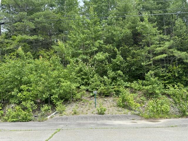 Lot 14 4
