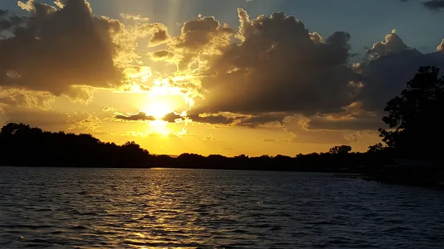 a dining room with furniture window and wooden floor