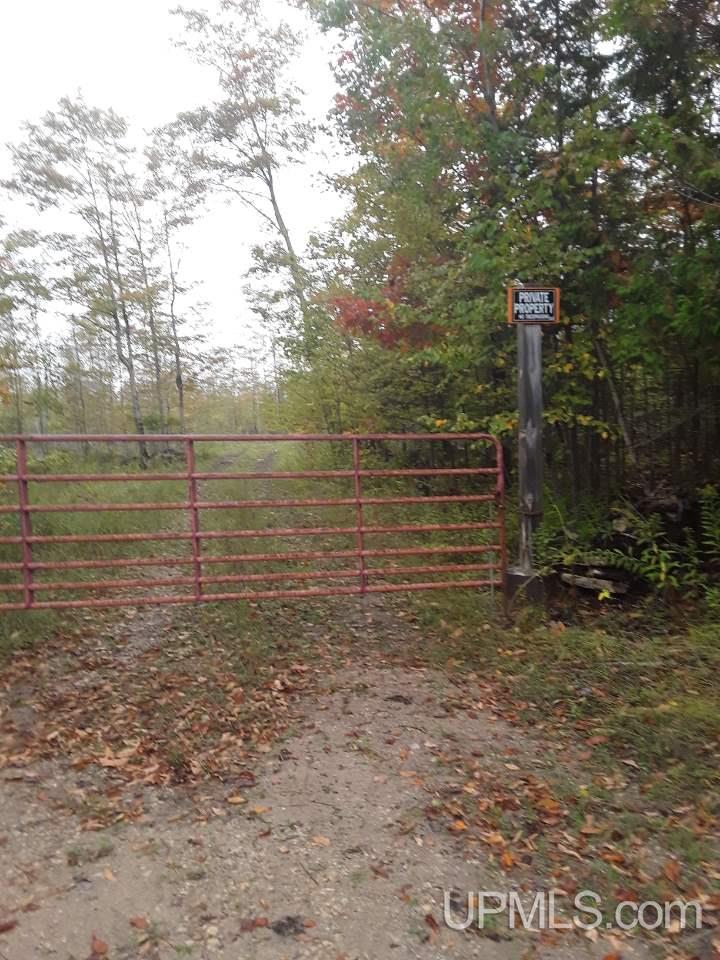 4020 W Letson Road Gulliver, MI 49840 - Photo 4 of 23