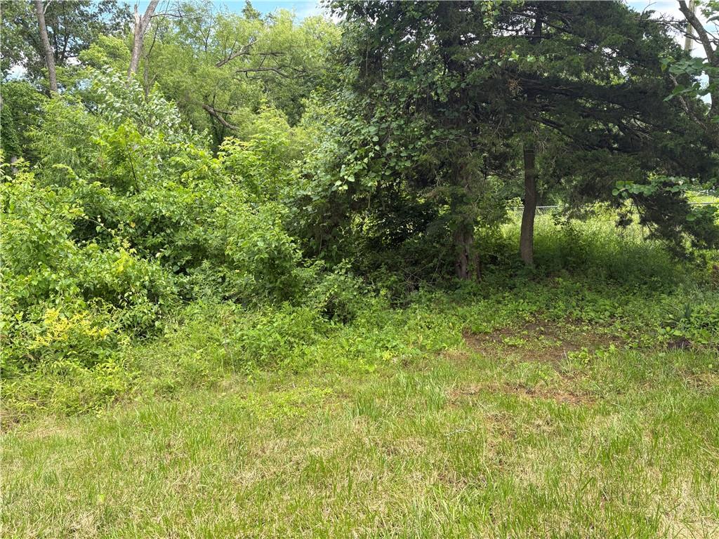 10023 South Munro Road Lone Jack, MO 64070 - Photo 30 of 38