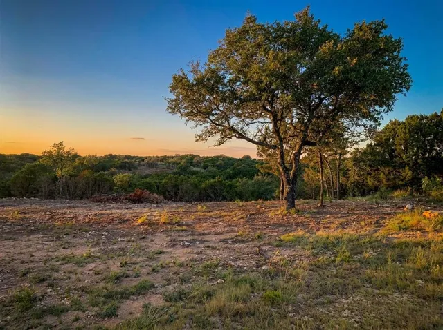 a view of dirt field with trees