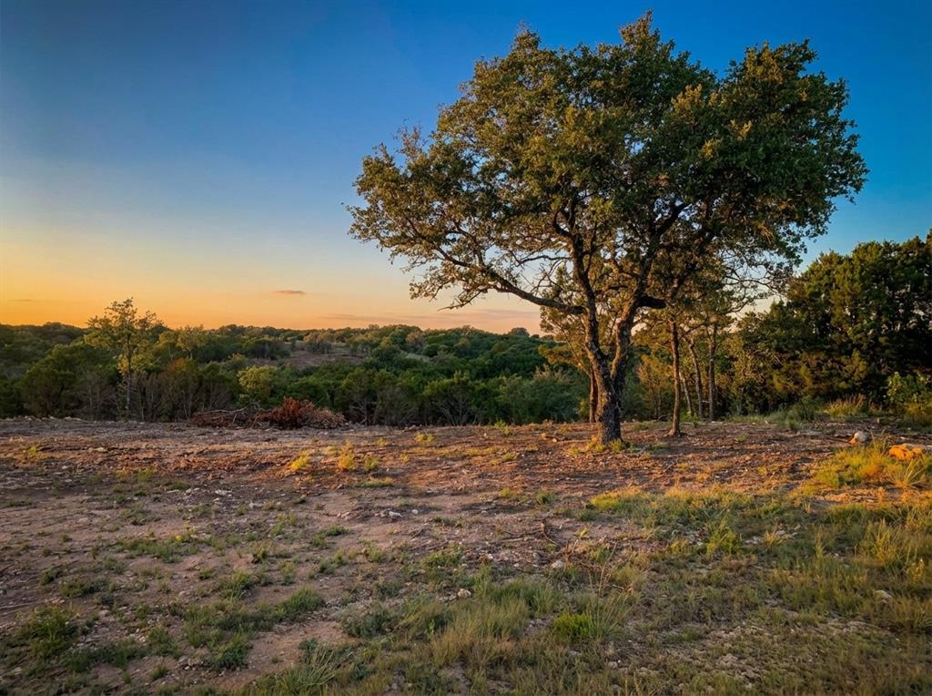 a view of dirt field with trees