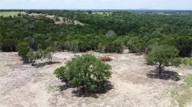a view of a dry yard with trees in the background