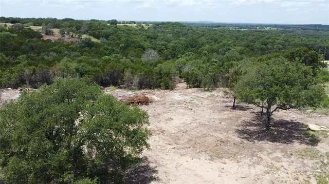 a view of a forest with trees