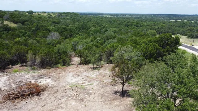 a view of a dry yard