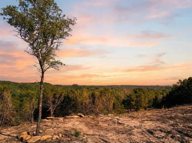 a view of a mountain