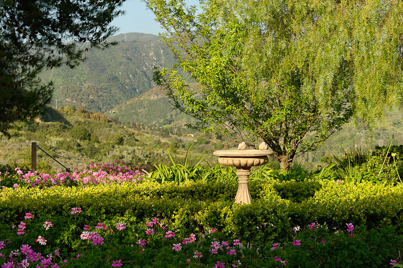 7200 Casitas Pass Road Carpinteria, CA 93013 - Photo 17 of 29 a view of a bunch of flowers
