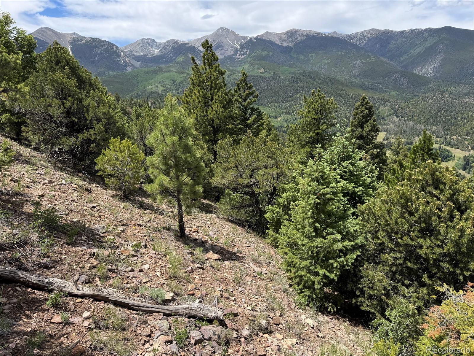 Knotty Pine Road Salida, CO 81201 - Photo 24 of 42 Gallery Image 24