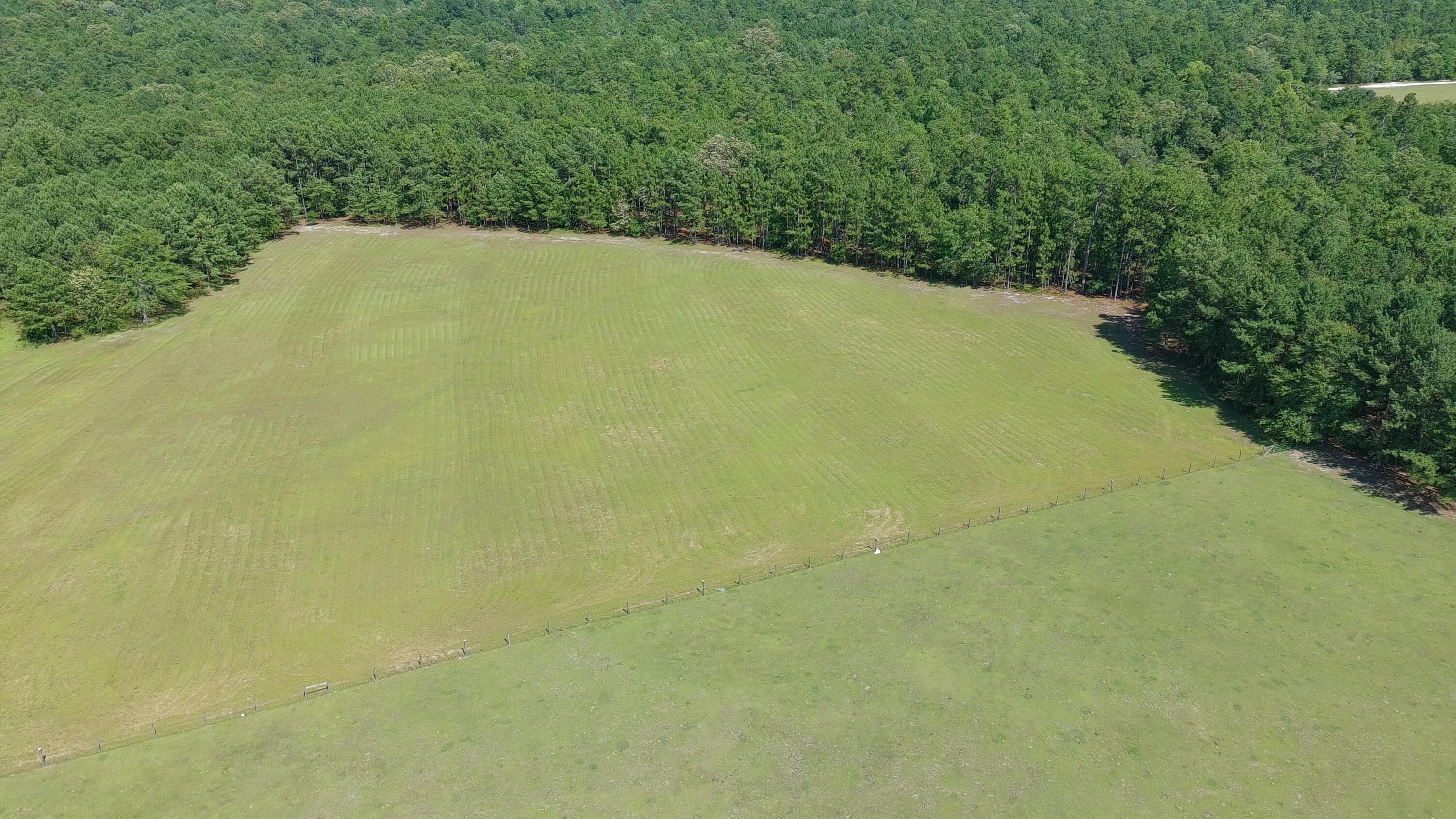 41-acres Whiskey Road Aiken, SC 29803 - Photo 14 of 44