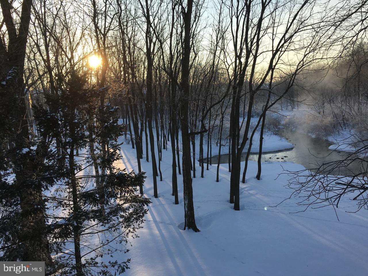 238 Heatherstone Way Lancaster, PA 17601 - Photo 120 of 141 Winter photo