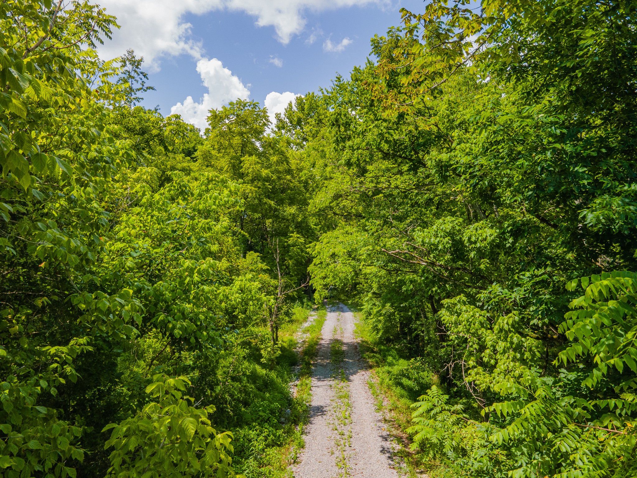1700 Allen Brown Road Lewisburg, TN 37091 - Photo 16 of 80