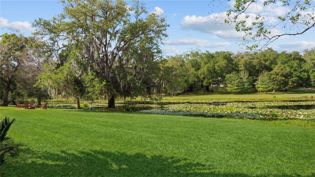1501 Druid Isle Road Maitland, FL 32751 - Photo 34 of 54 a view of a park