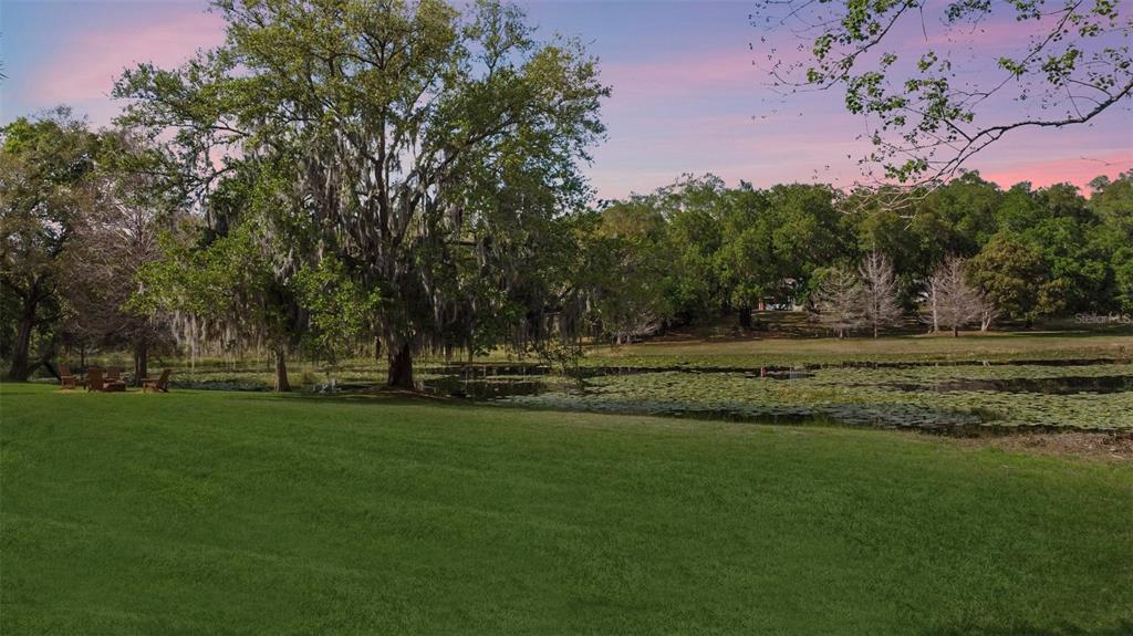 1501 Druid Isle Road Maitland, FL 32751 - Photo 51 of 54 a view of a park