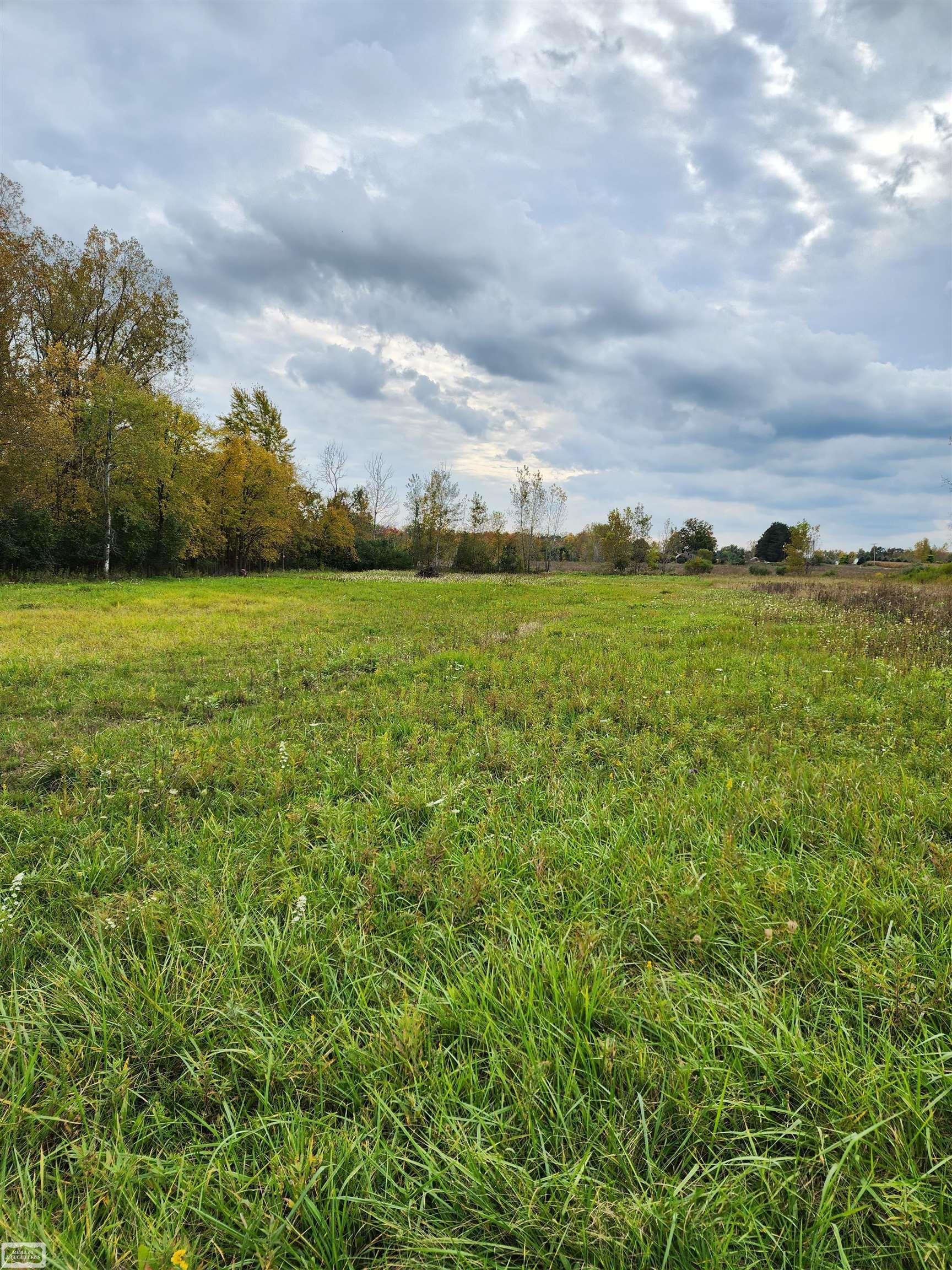 0 Norman Road Yale, MI 48097 - Photo 2 of 14
